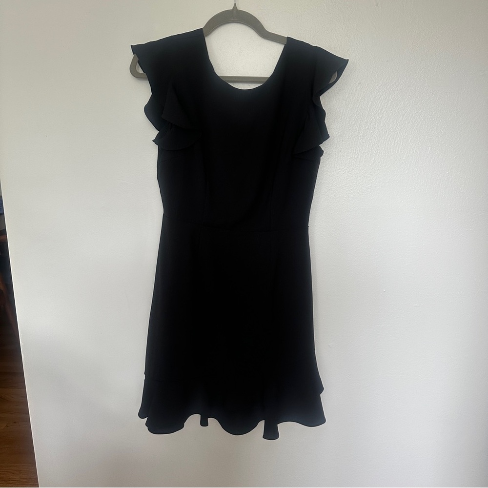 TCEC Black Ruffle Sleeve Mini Dress